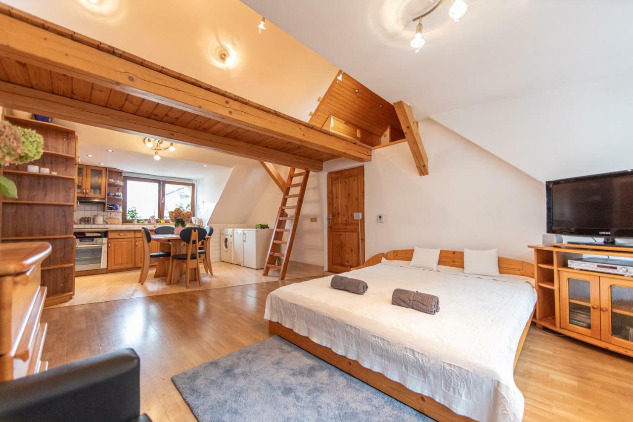 Apartment Romanticke V Podkrovi Idealne Pre Pary Alebo Rodinku-self Check Pressburg